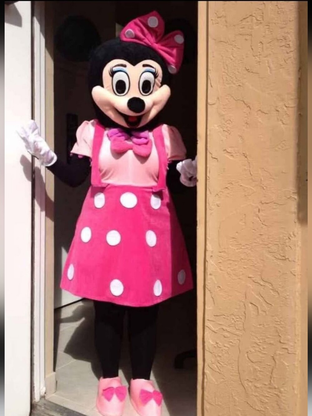 Plus Size Minnie Mouse Costume